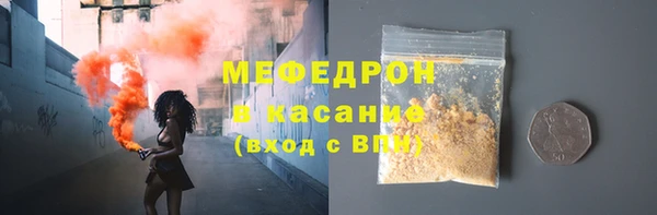 прущие грибы Богданович